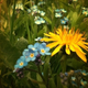 Image for article titled Shooting Challenge: Cellphone Gallery Part 10